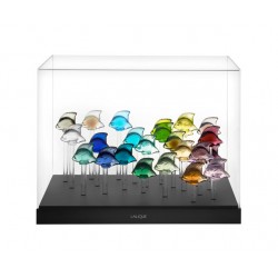 Acquario Acquario